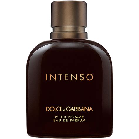 dolce gabbana pour homme 1.3 oz|dolce and gabbana intenso fragrantica.